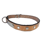 Δερμάτινο περιλαίμιο σκύλου 42cm Χρώμα Φυσικό