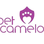Pet Camelot