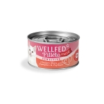 Υγρή Τροφή για Γάτες Wellfed με Κοτόπουλο 70gr