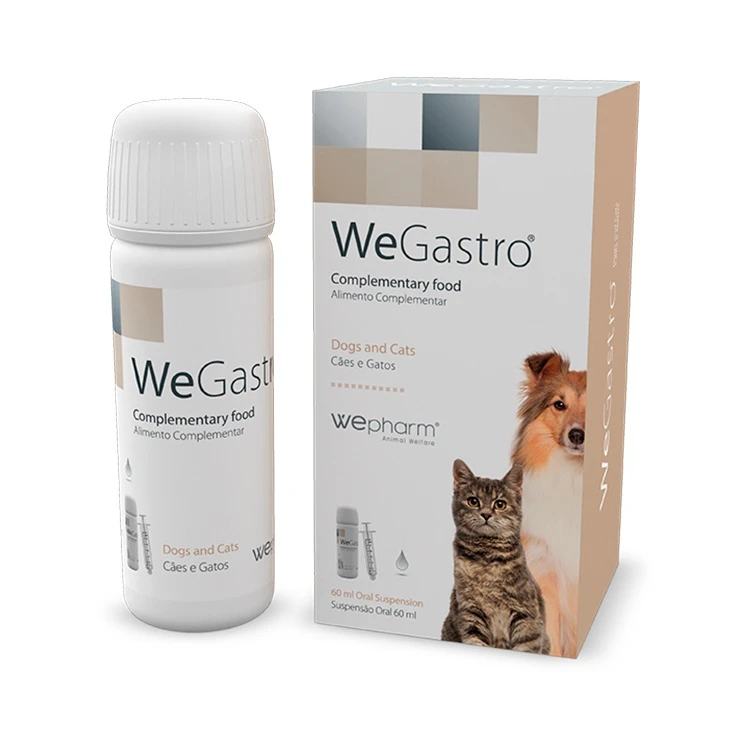 WeGastro 60ml WePharm Συμπλήρωμα Διατροφής WeGastro 60ml Γαστροπροστατευτικό για Σκύλους και Γάτες - Image 1