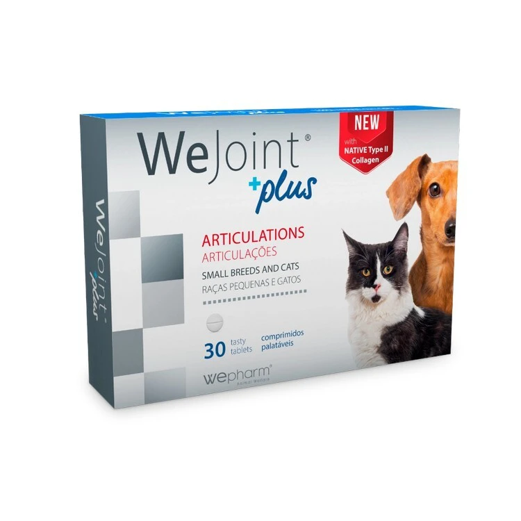 wejoin plus small breeds & cats Wepharm Συμπλήρωμα Διατροφής Wejoint Plus Χονδροπροστατευτικό Small Breed 30tabs - Image 1