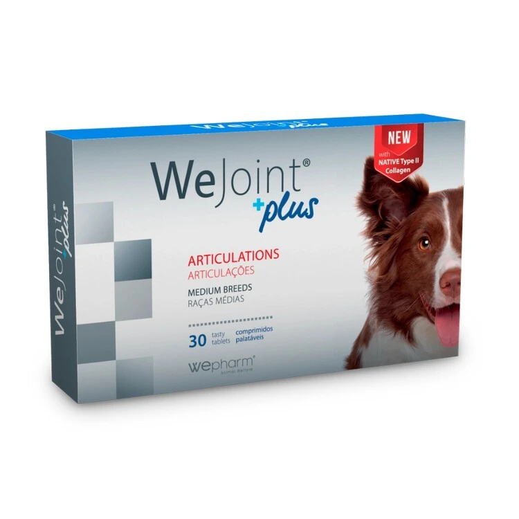 wejoint plus medium breeds 30tbs Wepharm Συμπλήρωμα Διατροφής Wejoint Plus Χονδροπροστατευτικό Medium Breed 30tabs - Image 1