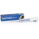 Dentihex Οδοντόπαστα με Χλωρεξιδίνη 20gr